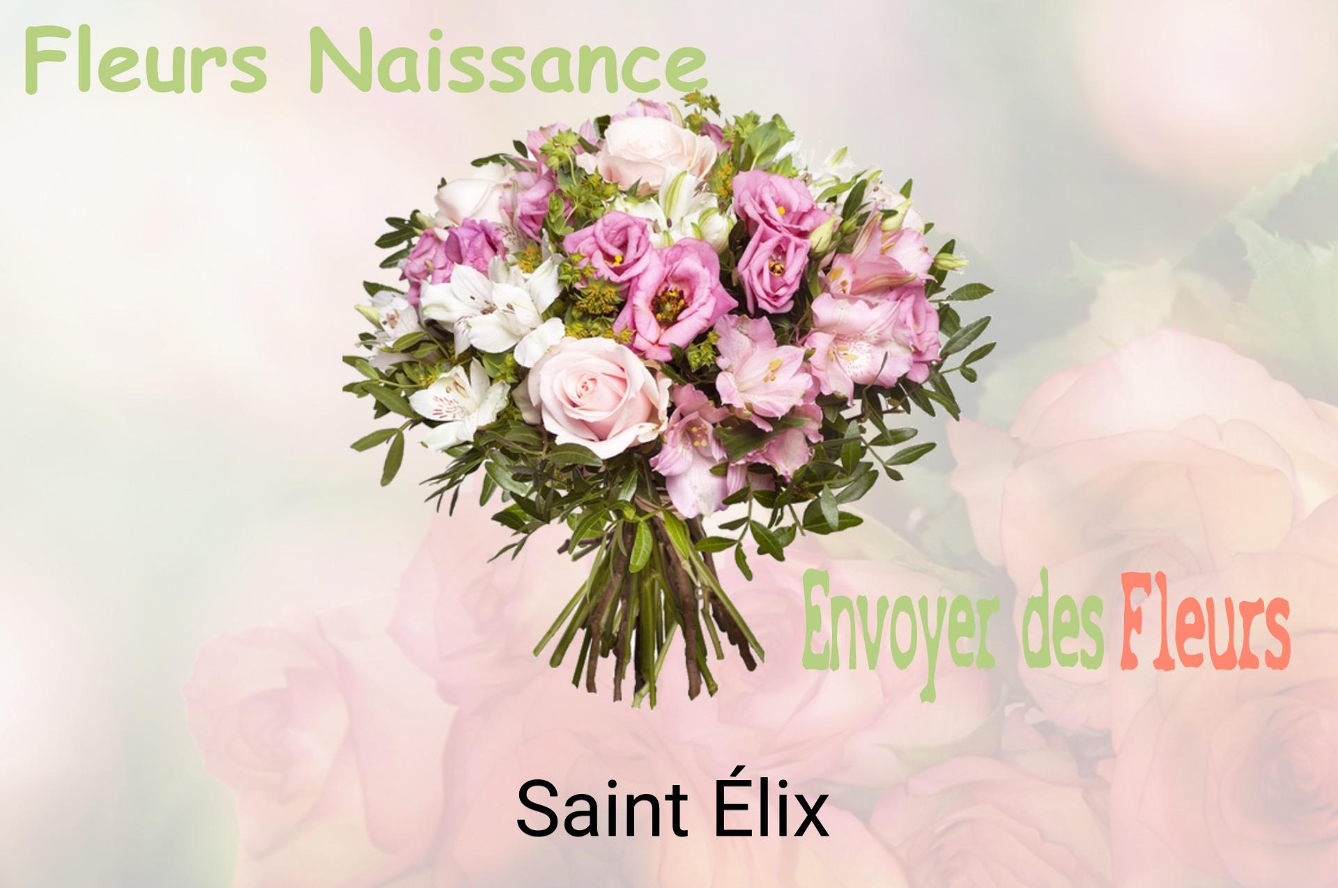 Bouquet de fleurs de naissance livré à Saint-Élix
